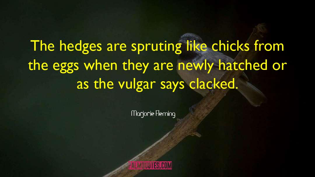 Super Chicks American quotes by Marjorie Fleming