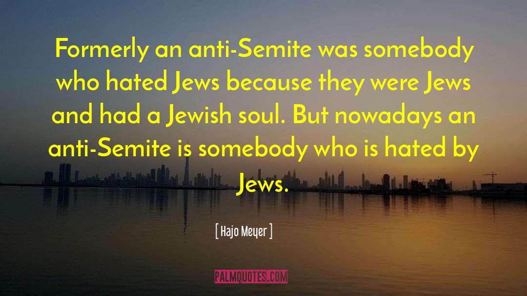 Super Jew quotes by Hajo Meyer
