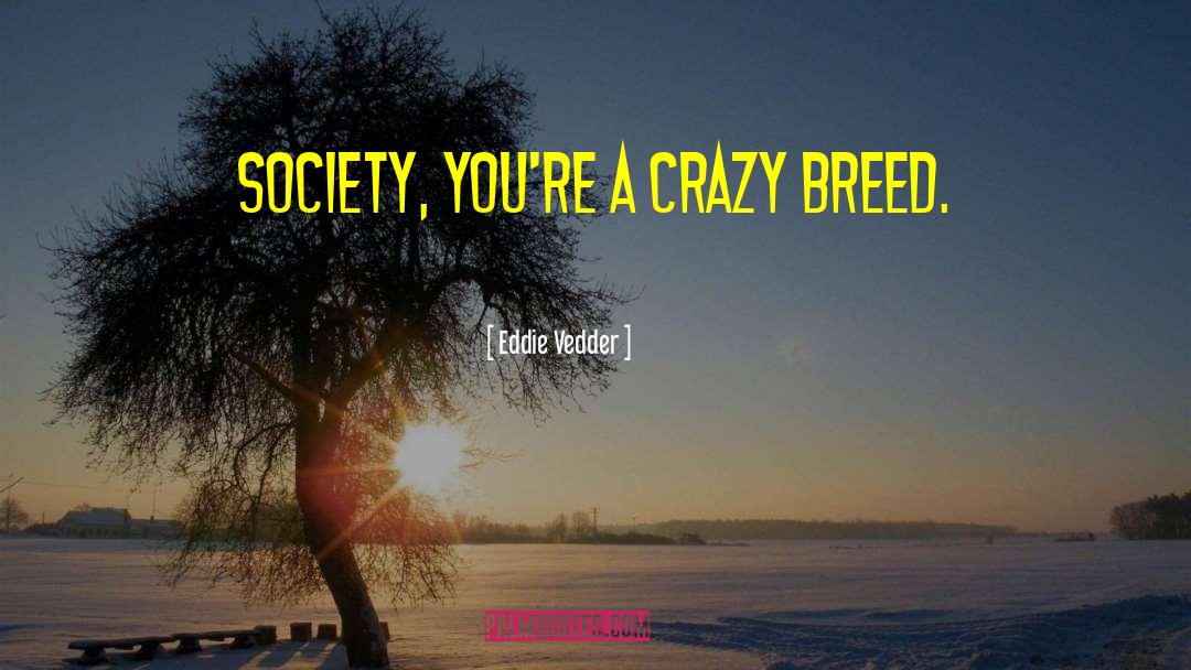 Superapple quotes by Eddie Vedder