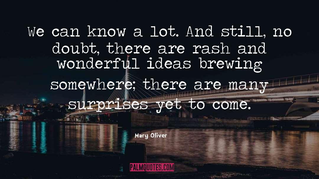 Superflux Brewing quotes by Mary Oliver