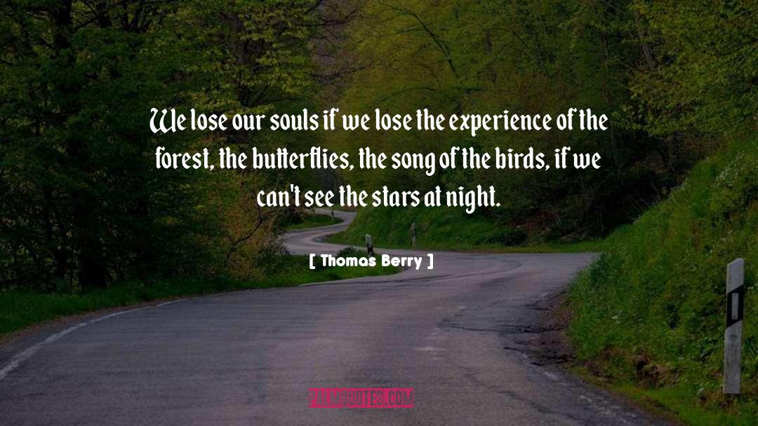 Superfly Song quotes by Thomas Berry