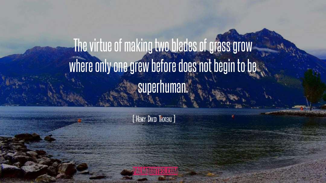 Superhuman quotes by Henry David Thoreau