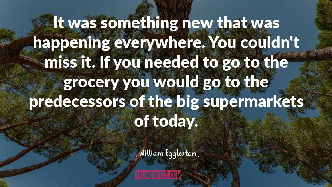 Supermarkets quotes by William Eggleston