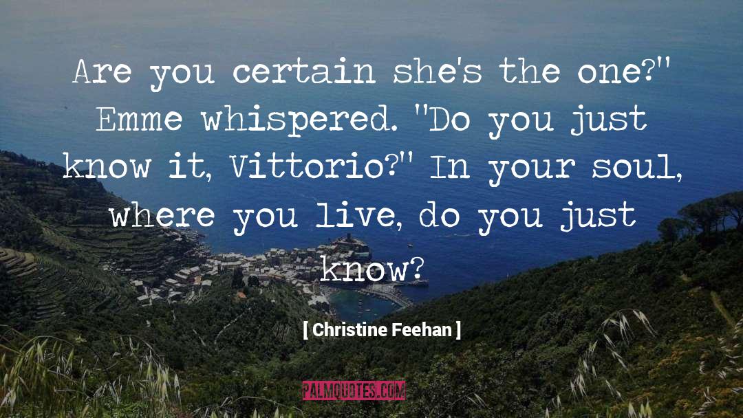 Supernatrual Thriller quotes by Christine Feehan