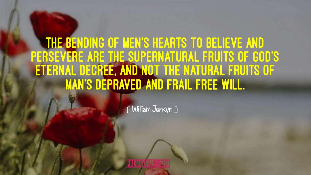 Supernatural Experiences quotes by William Jenkyn