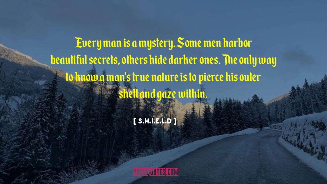 Supernatural Mystery quotes by S.H.I.E.L.D