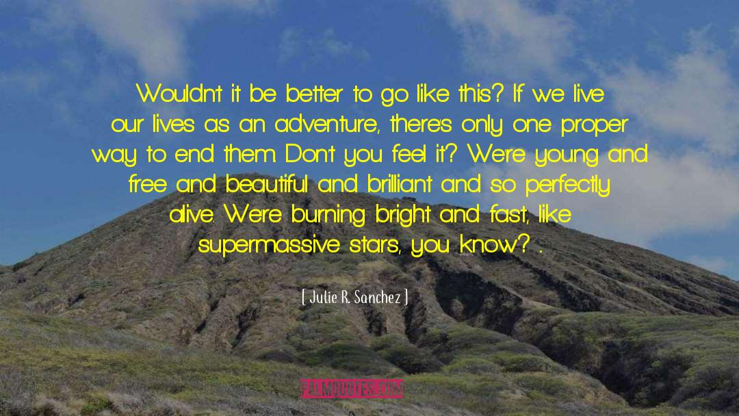 Supernova quotes by Julie R. Sanchez