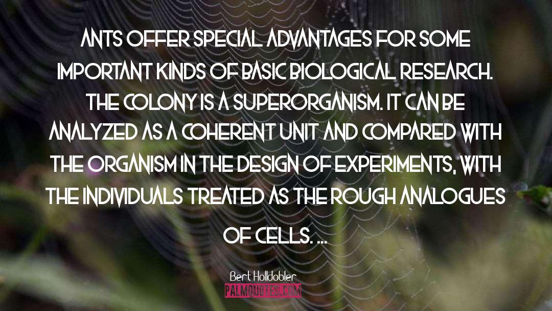 Superorganism quotes by Bert Holldobler