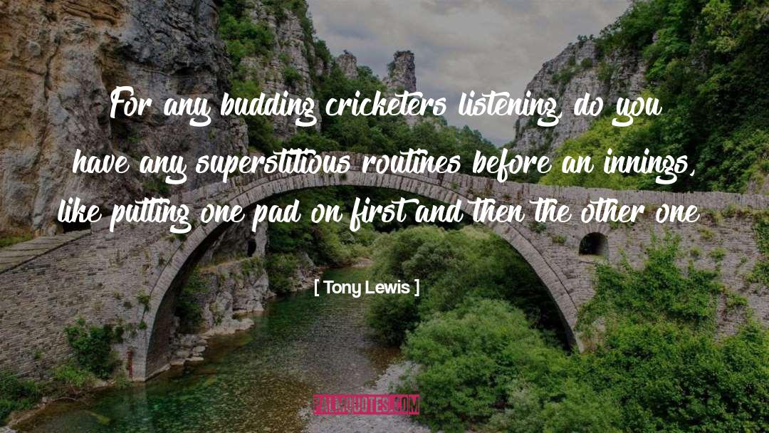 Superstitious quotes by Tony Lewis