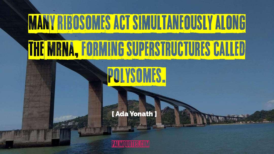 Superstructures quotes by Ada Yonath