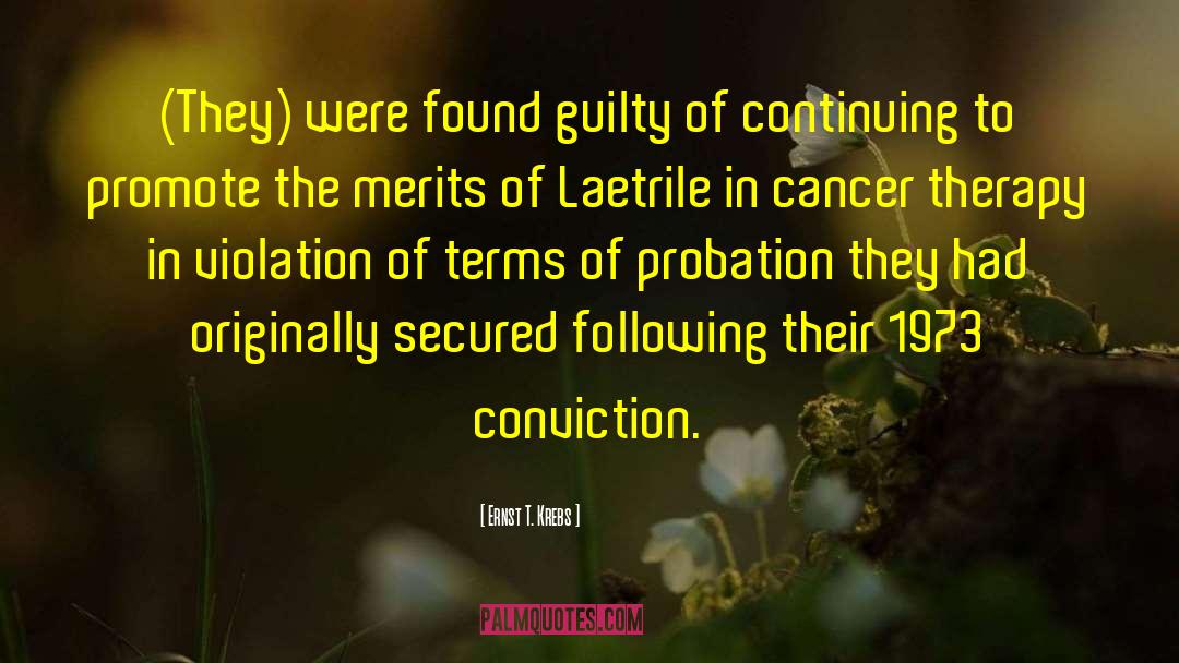 Supervised Probation quotes by Ernst T. Krebs