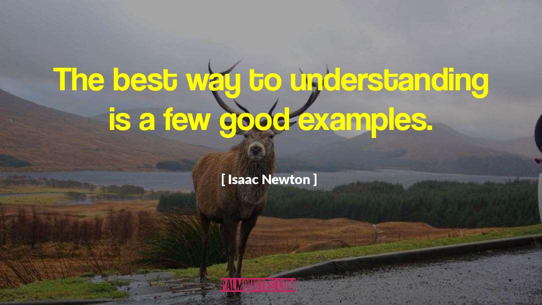 Supplemented Examples quotes by Isaac Newton