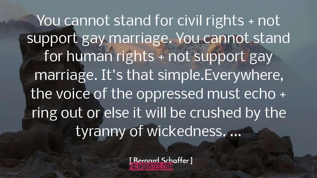 Support Gay Marriage quotes by Bernard Schaffer