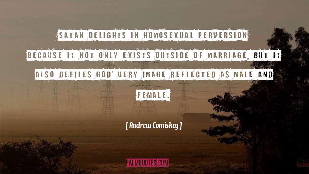 Support Gay Marriage quotes by Andrew Comiskey
