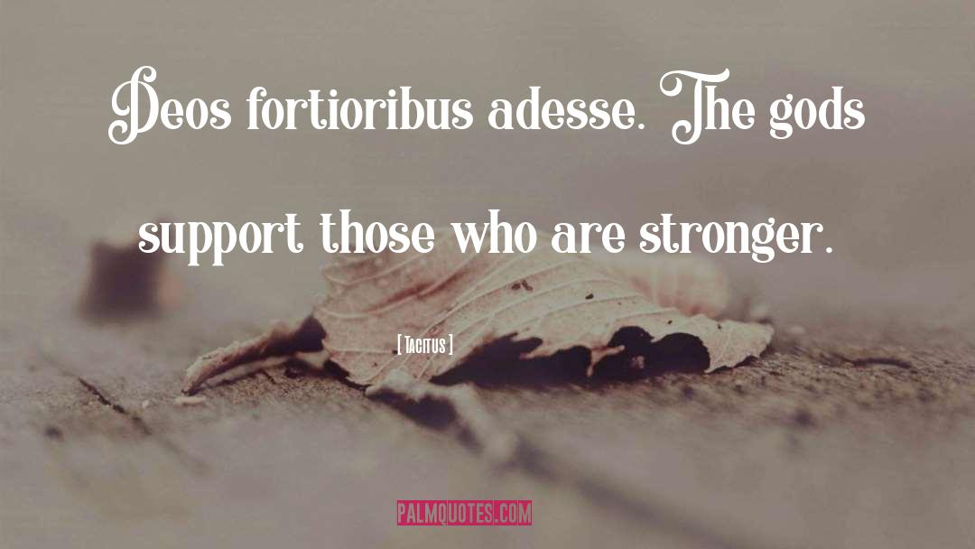 Support Groups quotes by Tacitus