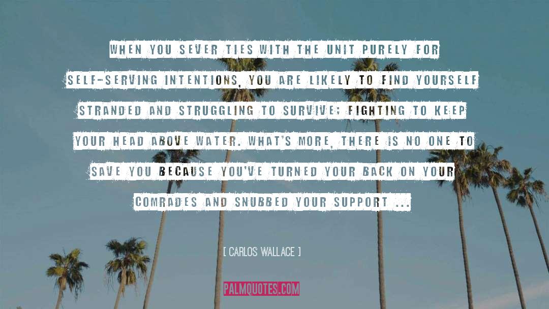 Support System quotes by Carlos Wallace