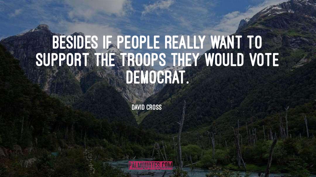 Support The Troops quotes by David Cross
