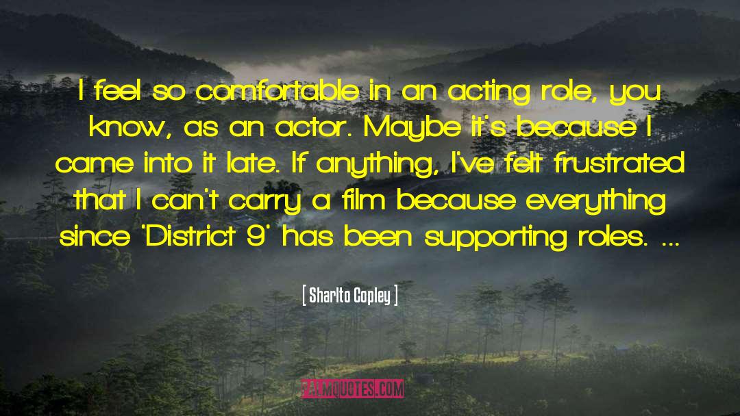 Supporting Roles quotes by Sharlto Copley