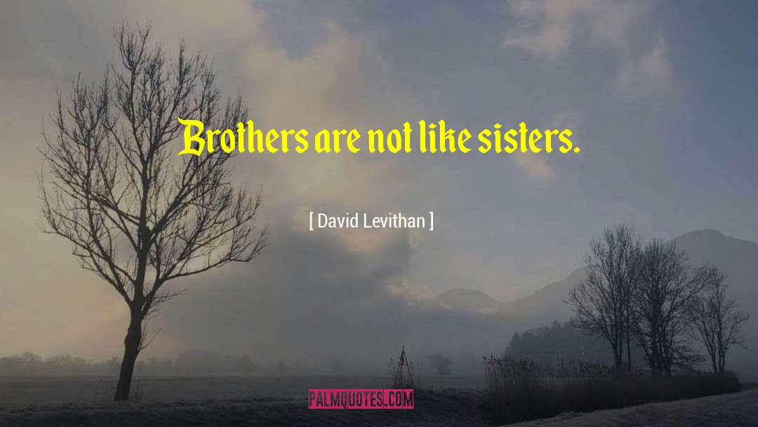 Supportive Brothers quotes by David Levithan