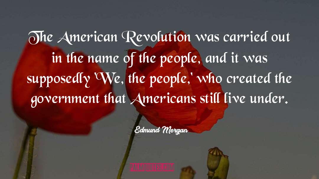 Supposedly quotes by Edmund Morgan