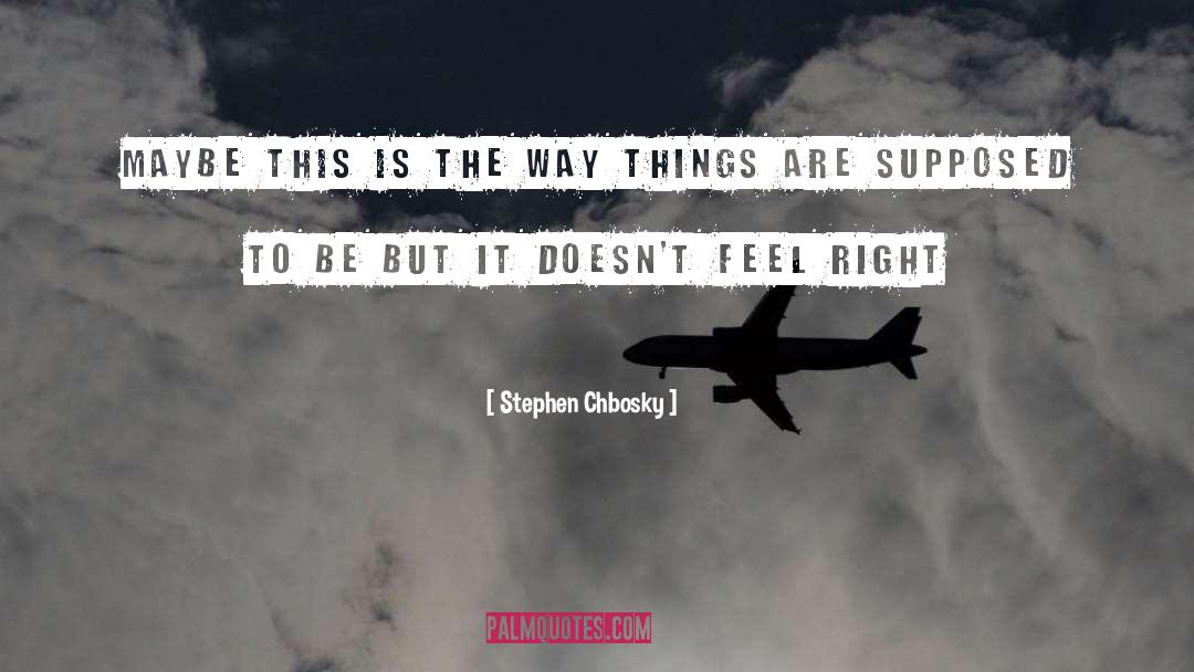 Supposition quotes by Stephen Chbosky