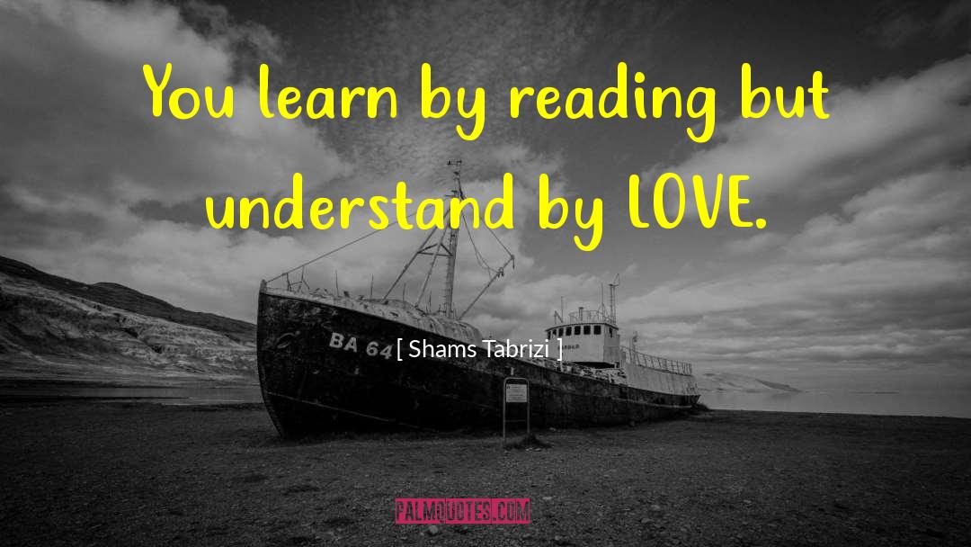 Supreme Love quotes by Shams Tabrizi