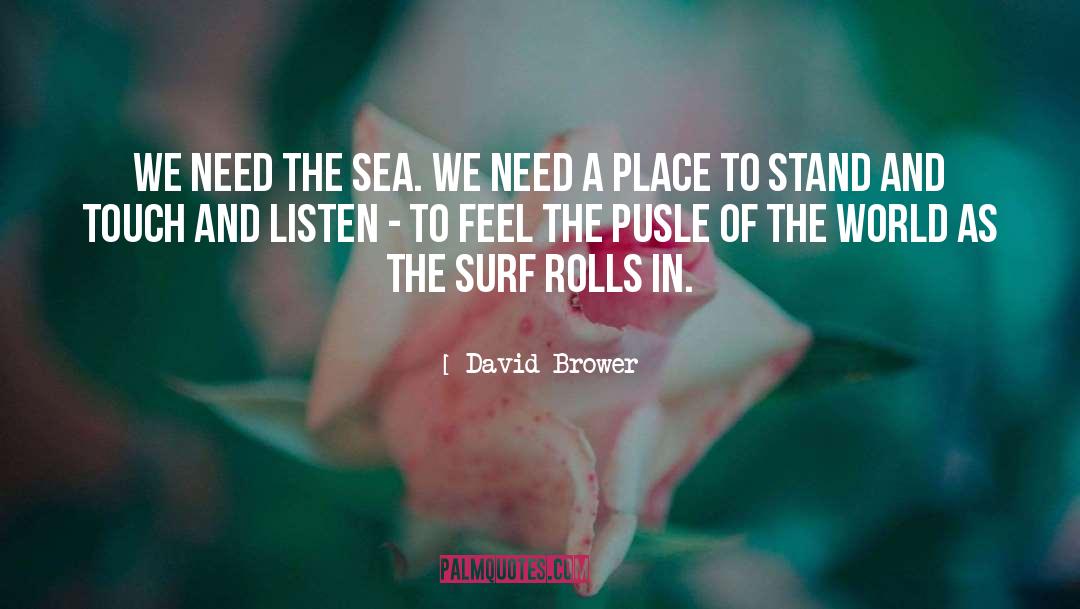 Surf quotes by David Brower