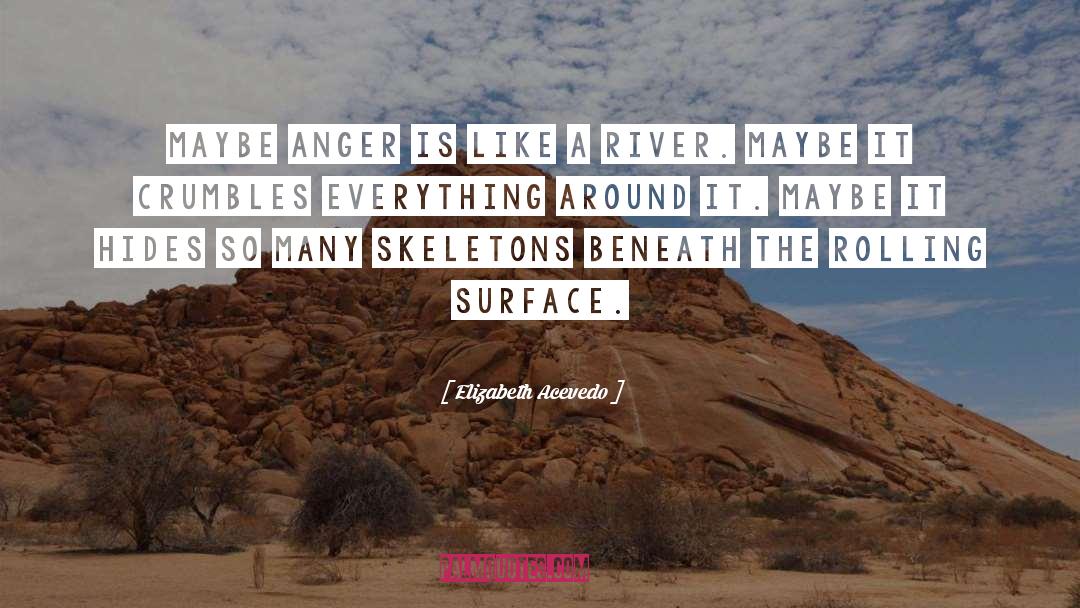 Surface quotes by Elizabeth Acevedo