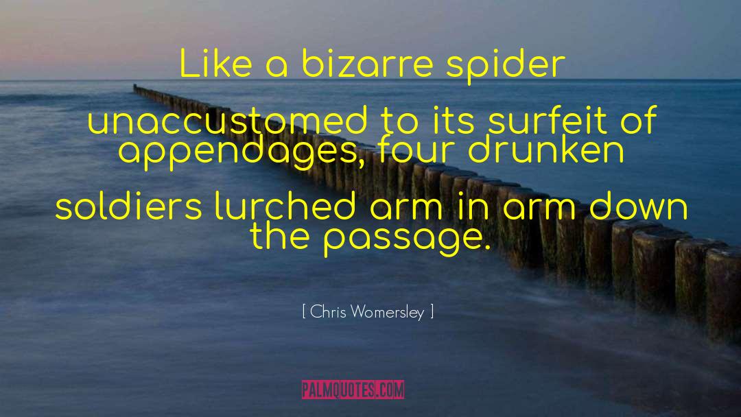 Surfeit quotes by Chris Womersley