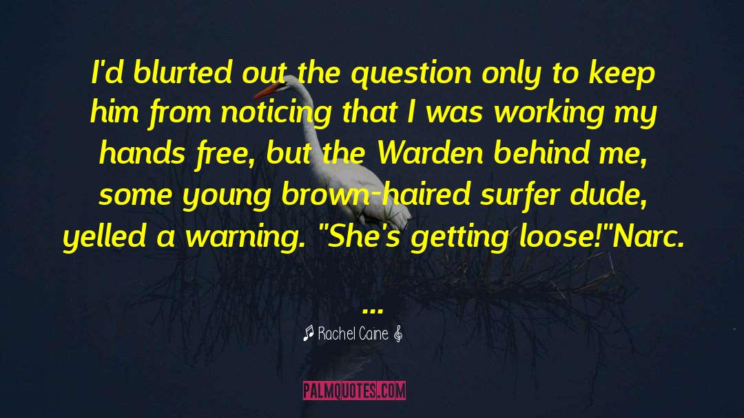 Surfer quotes by Rachel Caine