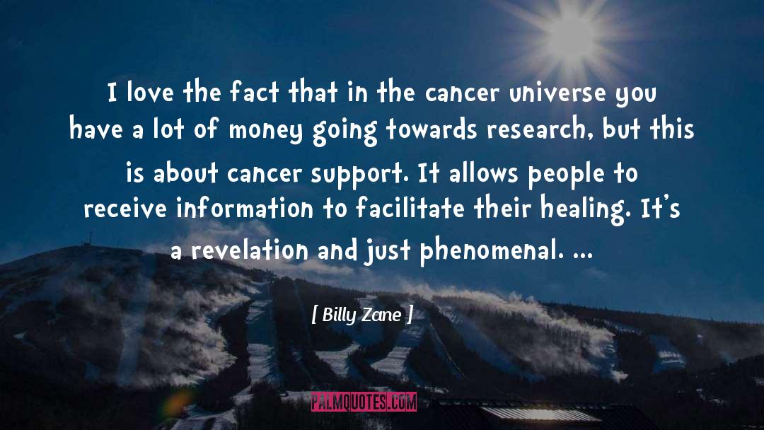 Surfers Healing quotes by Billy Zane