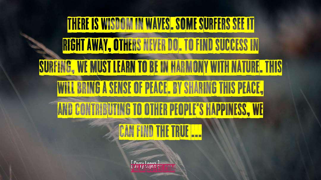 Surfers quotes by Gerry Lopez