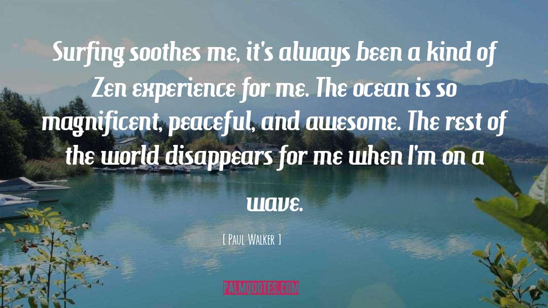 Surfing quotes by Paul Walker