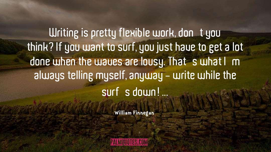 Surfs Up quotes by William Finnegan