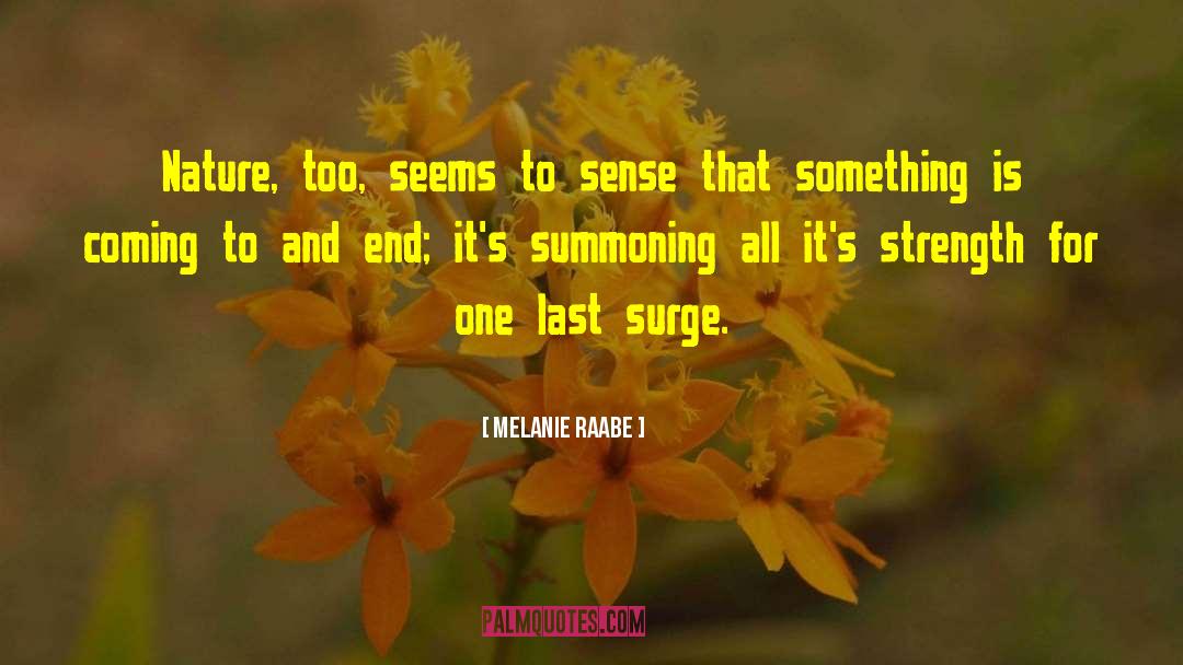 Surge quotes by Melanie Raabe