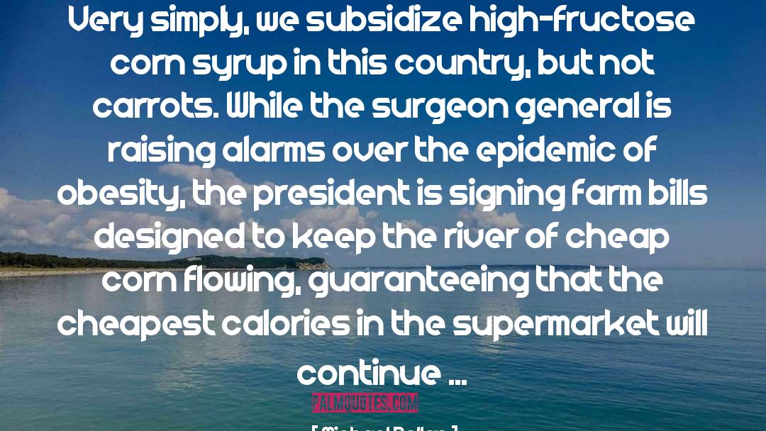 Surgeon General quotes by Michael Pollan