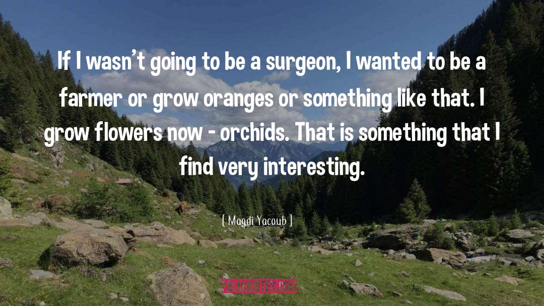 Surgeon quotes by Magdi Yacoub