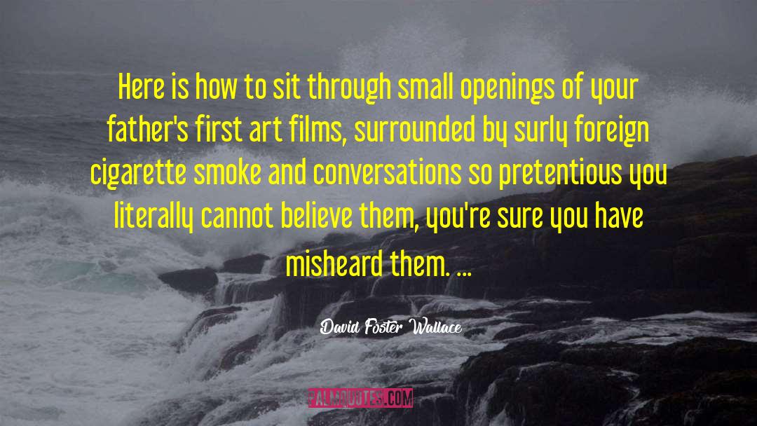 Surly quotes by David Foster Wallace