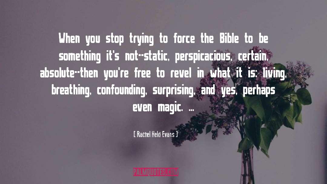 Surmising In The Bible quotes by Rachel Held Evans