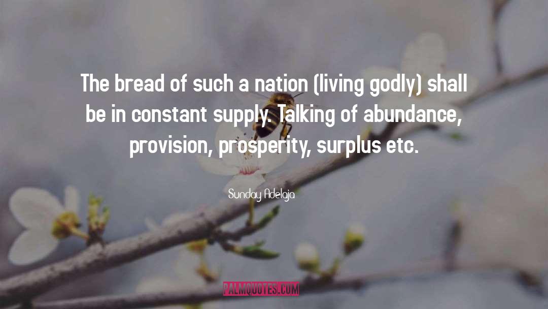 Surplus quotes by Sunday Adelaja