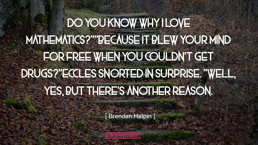 Surprise Endings quotes by Brendan Halpin