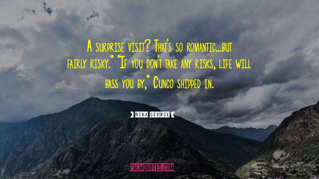 Surprise Visit quotes by Nina George