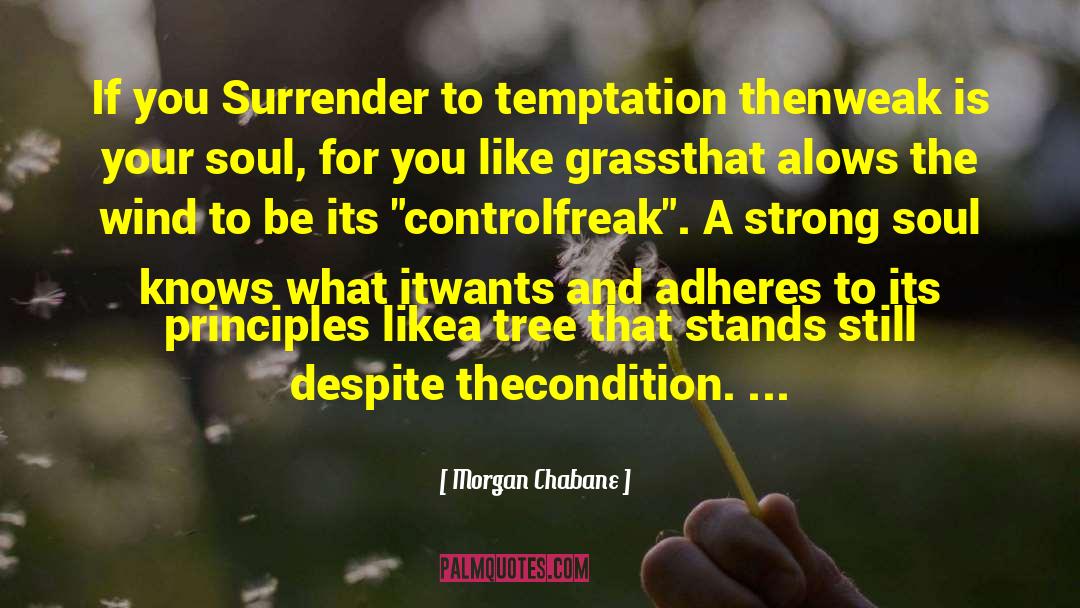 Surrender Control quotes by Morgan Chabane