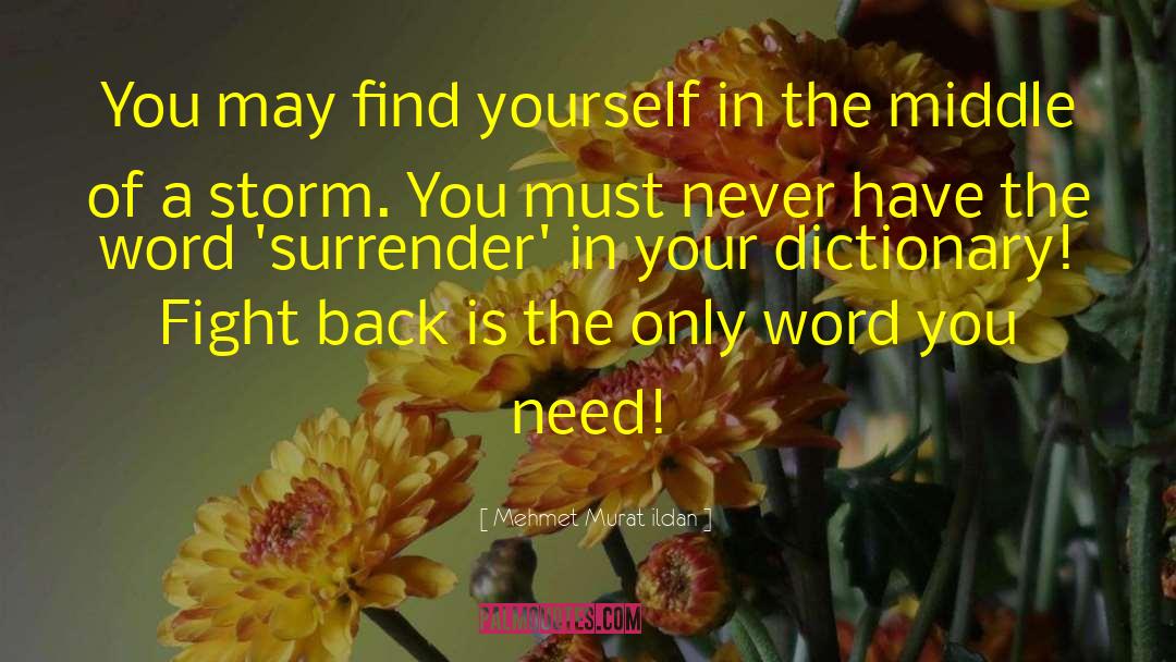 Surrender Your Love quotes by Mehmet Murat Ildan