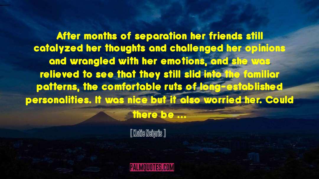 Surrounded By Friends quotes by Katie Neipris