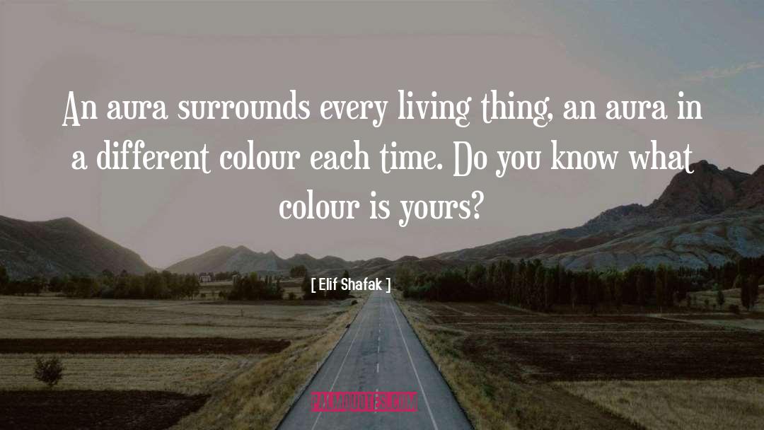 Surrounds quotes by Elif Shafak