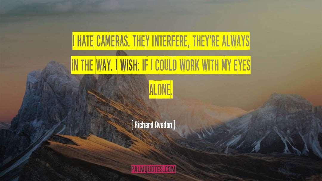 Surveillance Cameras quotes by Richard Avedon