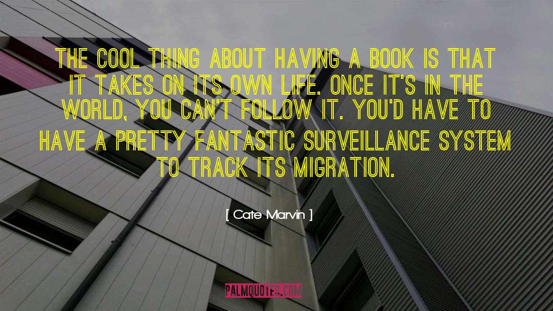 Surveillance Society quotes by Cate Marvin