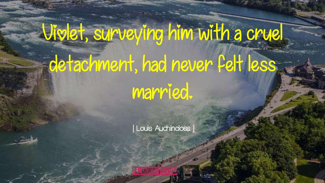 Surveying quotes by Louis Auchincloss