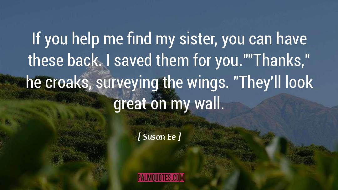 Surveying quotes by Susan Ee